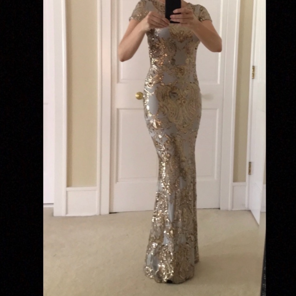 Bhldn Gold And Silver Evening Gown